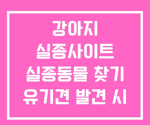 강아지 실종사이트 실종동물 찾기 유기견 발견 시