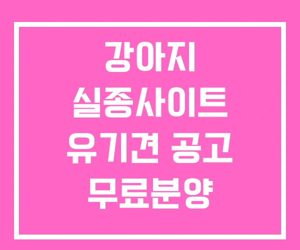 강아지 실종사이트 유기견 공고 무료분양 강아지 실종사이트 유기견 공고 무료분양