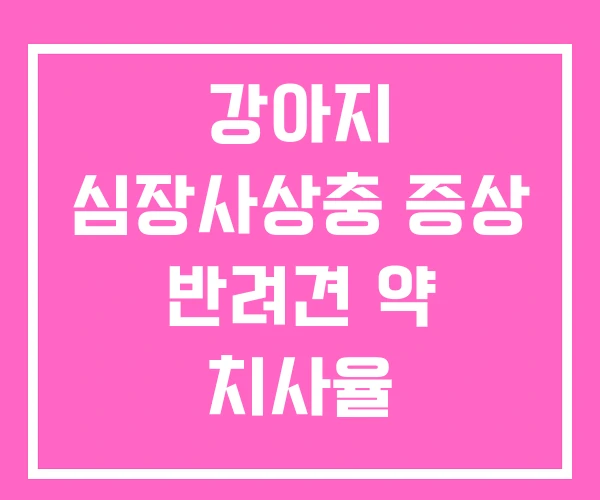 강아지 심장사상충 증상 반려견 약 치사율 강아지 심장사상충 증상 반려견 약 치사율
