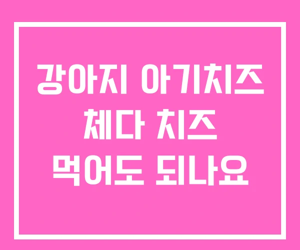 강아지 아기치즈 체다 치즈 먹어도 되나요 강아지 아기치즈 체다 치즈 먹어도 되나요