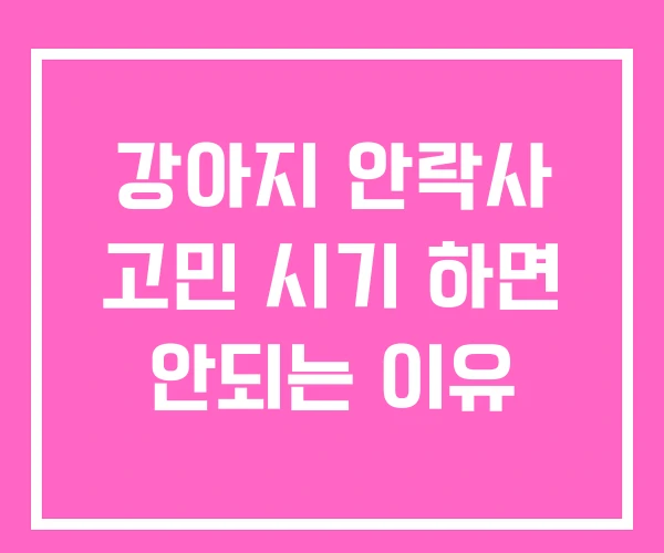 강아지 안락사 고민 시기 하면 안되는 이유 강아지 안락사 고민 시기 하면 안되는 이유