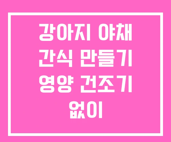 강아지 야채 간식 만들기 영양 건조기 없이