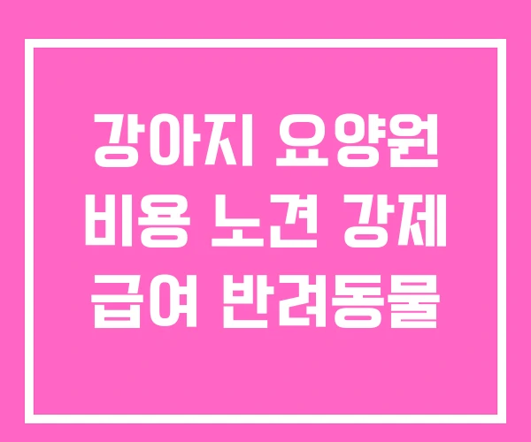 강아지 요양원 비용 노견 강제 급여 반려동물 강아지 요양원 비용 노견 강제 급여 반려동물