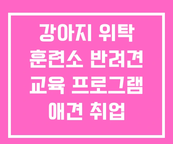 강아지 위탁 훈련소 반려견 교육 프로그램 애견 취업 강아지 위탁 훈련소 반려견 교육 프로그램 애견 취업