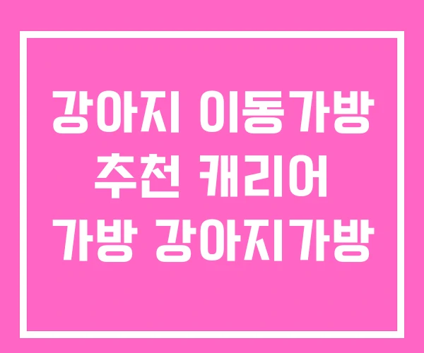강아지 이동가방 추천 캐리어 가방 강아지가방