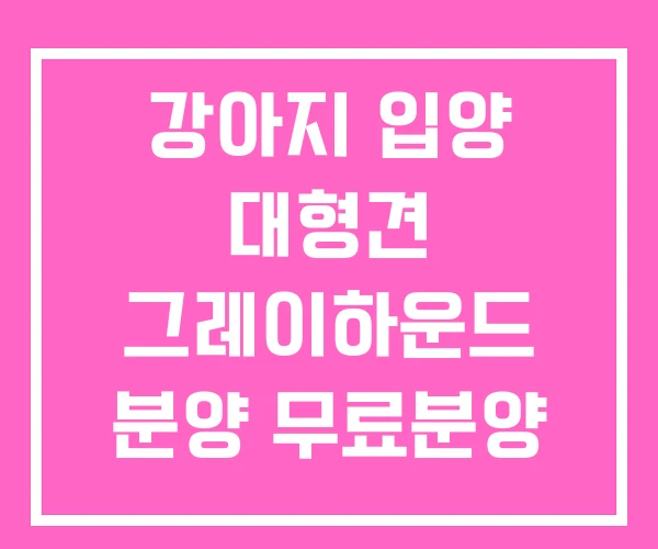 강아지 입양 대형견 그레이하운드 분양 무료분양 강아지 입양 대형견 그레이하운드 분양 무료분양