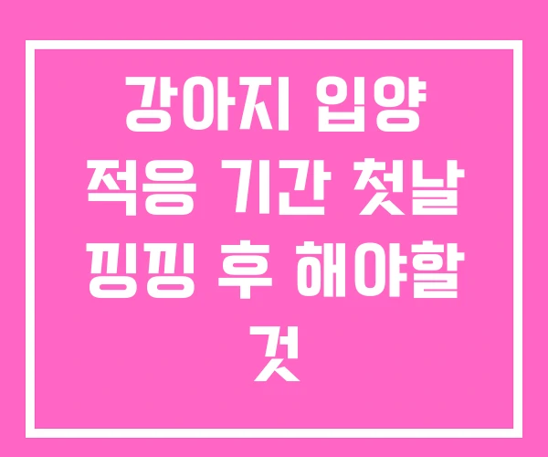 강아지 입양 적응 기간 첫날 낑낑 후 해야할 것 강아지 입양 적응 기간 첫날 낑낑 후 해야할 것