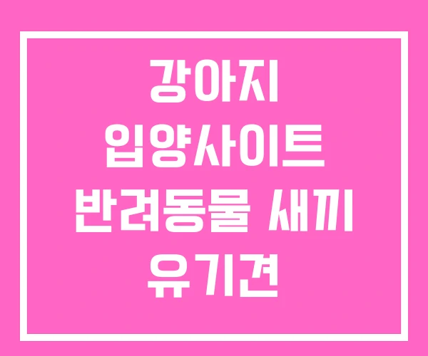 강아지 입양사이트 반려동물 새끼 유기견