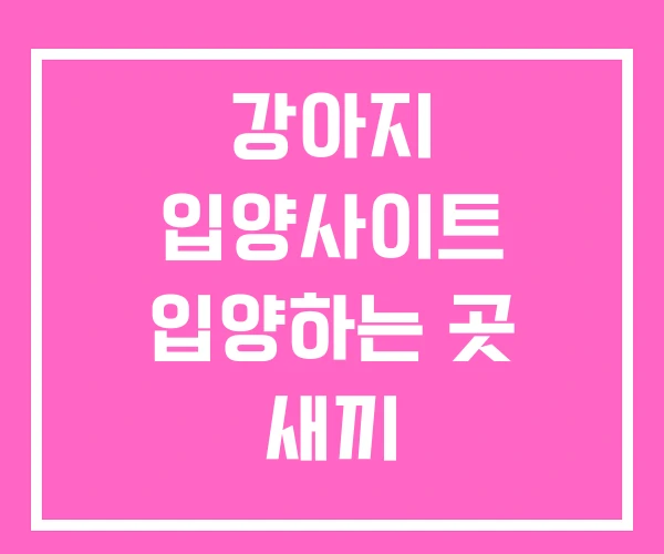 강아지 입양사이트 입양하는 곳 새끼 강아지무료입양 강아지 입양사이트 입양하는 곳 새끼 강아지무료입양