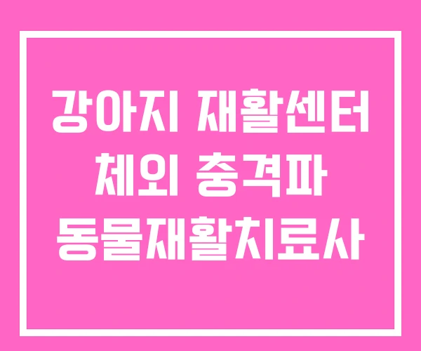 강아지 재활센터 체외 충격파 동물재활치료사 강아지 재활센터 체외 충격파 동물재활치료사