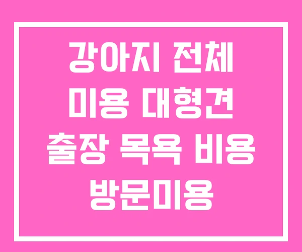 강아지 전체 미용 대형견 출장 목욕 비용 방문미용 강아지 전체 미용 대형견 출장 목욕 비용 방문미용