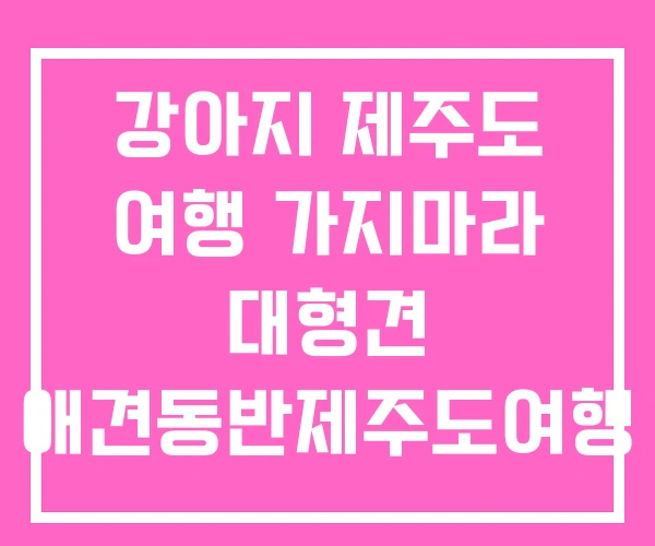 강아지 제주도 여행 가지마라 대형견 애견동반제주도여행 강아지 제주도 여행 가지마라 대형견 애견동반제주도여행