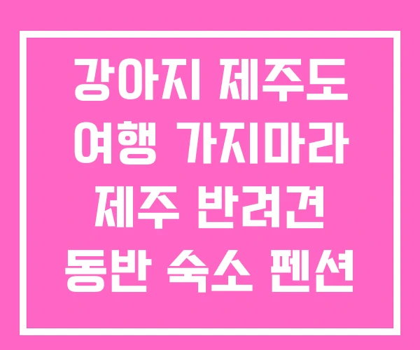 강아지 제주도 여행 가지마라 제주 반려견 동반 숙소 펜션 강아지 제주도 여행 가지마라 제주 반려견 동반 숙소 펜션