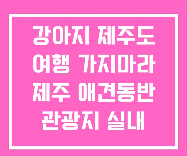 강아지 제주도 여행 가지마라 제주 애견동반 관광지 실내