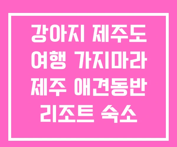 강아지 제주도 여행 가지마라 제주 애견동반 리조트 숙소