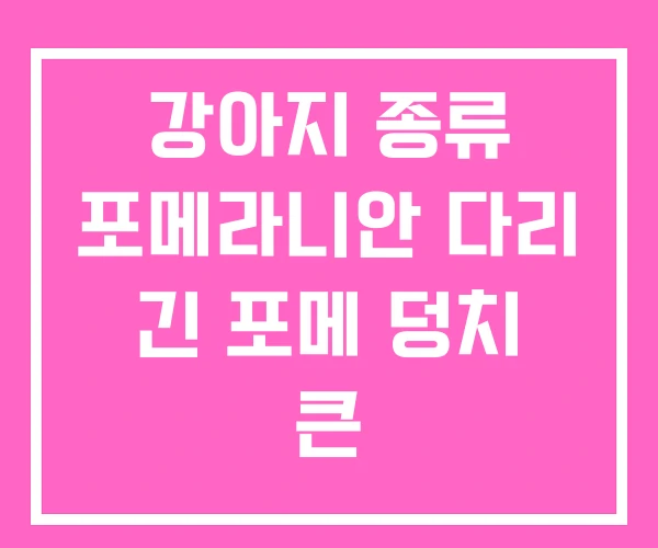 강아지 종류 포메라니안 다리 긴 포메 덩치 큰 강아지 종류 포메라니안 다리 긴 포메 덩치 큰