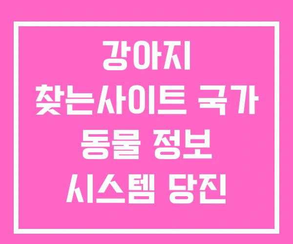 강아지 찾는사이트 국가 동물 정보 시스템 당진 보호소 강아지 찾는사이트 국가 동물 정보 시스템 당진 보호소