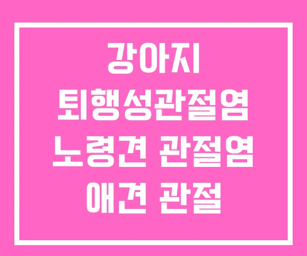 강아지 퇴행성관절염 노령견 관절염 애견 관절 영양제