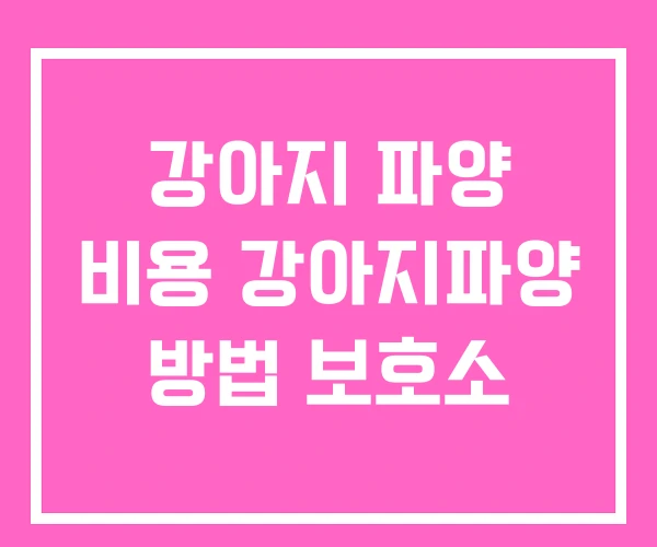 강아지 파양 비용 강아지파양 방법 보호소 강아지 파양 비용 강아지파양 방법 보호소