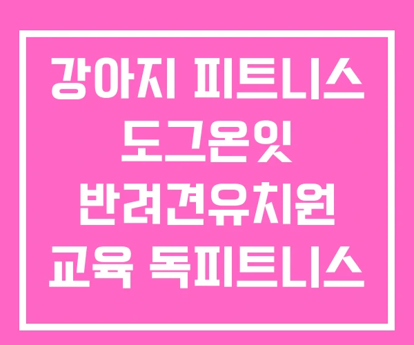 강아지 피트니스 도그온잇 반려견유치원 교육 독피트니스 강아지 피트니스 도그온잇 반려견유치원 교육 독피트니스
