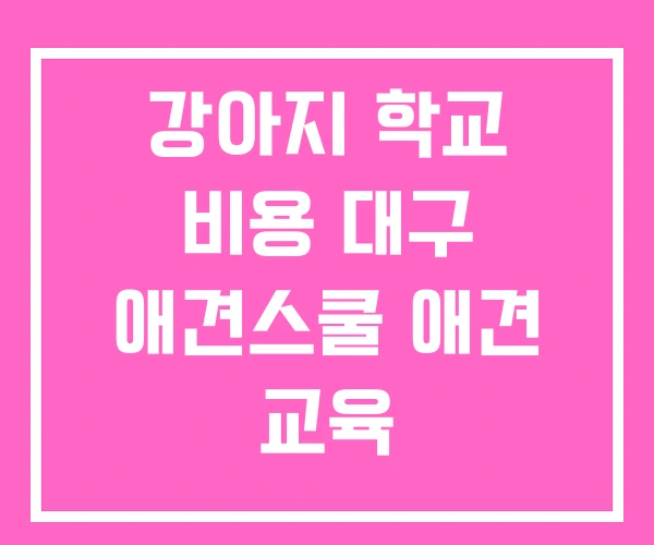 강아지 학교 비용 대구 애견스쿨 애견 교육 강아지 학교 비용 대구 애견스쿨 애견 교육