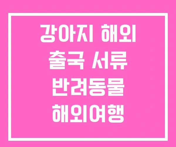 강아지 해외 출국 서류 반려동물 해외여행 애견동반 추천 강아지 해외 출국 서류 반려동물 해외여행 애견동반 추천