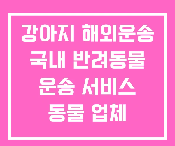 강아지 해외운송 국내 반려동물 운송 서비스 동물 업체 강아지 해외운송 국내 반려동물 운송 서비스 동물 업체