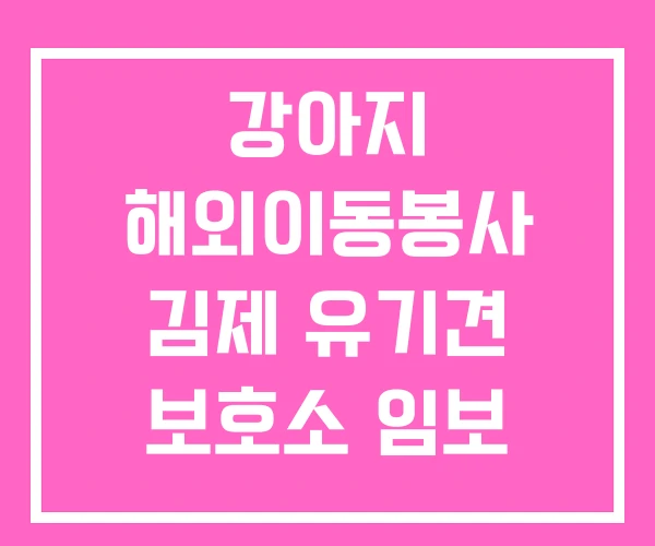 강아지 해외이동봉사 김제 유기견 보호소 임보 강아지 해외이동봉사 김제 유기견 보호소 임보