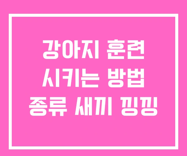 강아지 훈련 시키는 방법 종류 새끼 낑낑