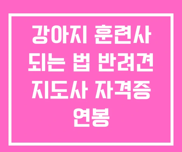 강아지 훈련사 되는 법 반려견 지도사 자격증 연봉 강아지 훈련사 되는 법 반려견 지도사 자격증 연봉