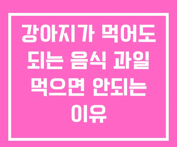 강아지가 먹어도 되는 음식 과일 먹으면 안되는 이유