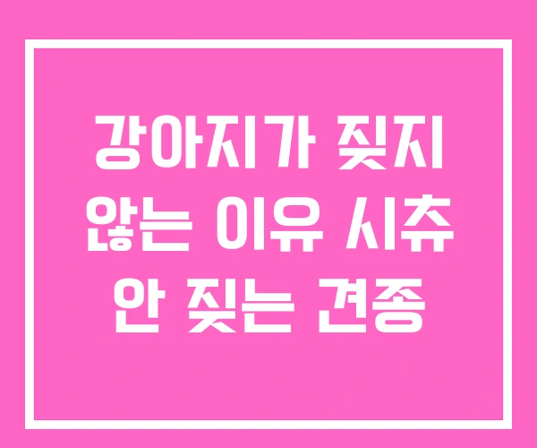 강아지가 짖지 않는 이유 시츄 안 짖는 견종