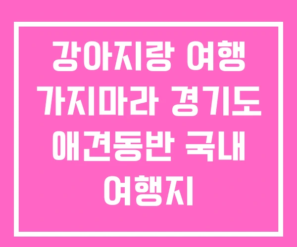 강아지랑 여행 가지마라 경기도 애견동반 국내 여행지 강아지랑 여행 가지마라 경기도 애견동반 국내 여행지