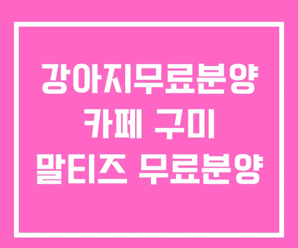 강아지무료분양 카페 구미 말티즈 무료분양