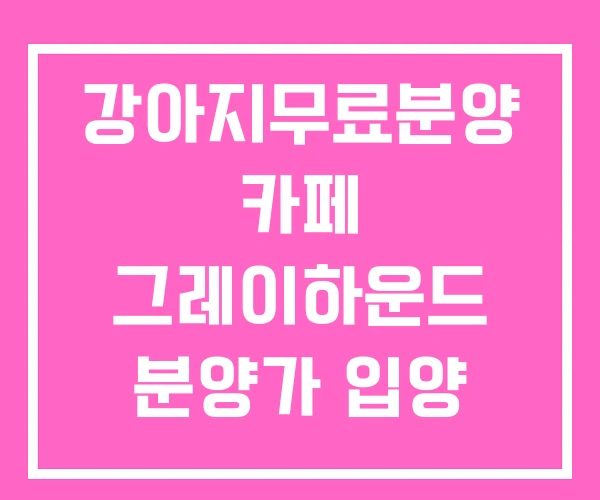 강아지무료분양 카페 그레이하운드 분양가 입양