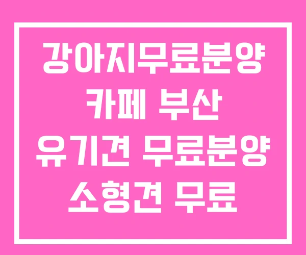 강아지무료분양 카페 부산 유기견 무료분양 소형견 무료 분양