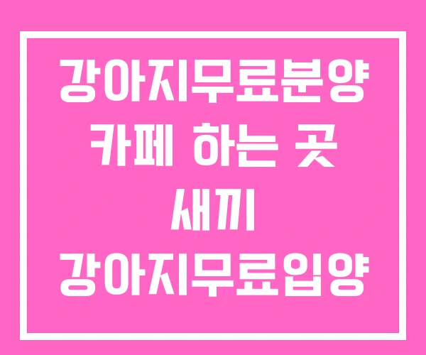 강아지무료분양 카페 하는 곳 새끼 강아지무료입양