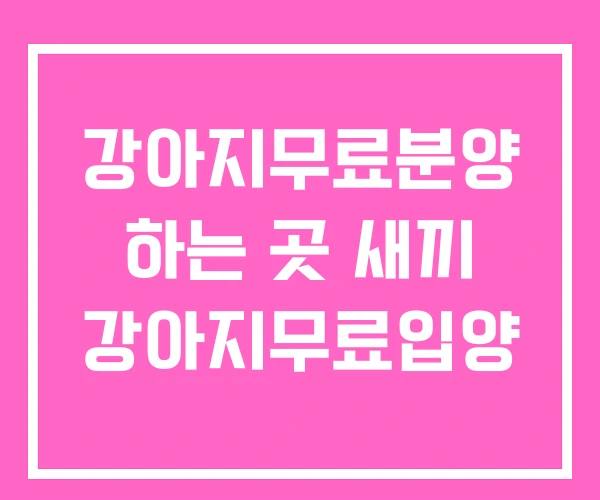 강아지무료분양 하는 곳 새끼 강아지무료입양