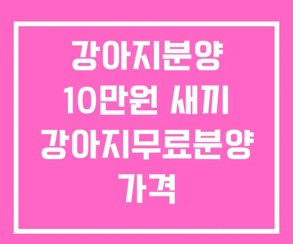 강아지분양 10만원 새끼 강아지무료분양 가격
