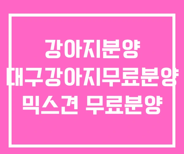 강아지분양 대구강아지무료분양 믹스견 무료분양