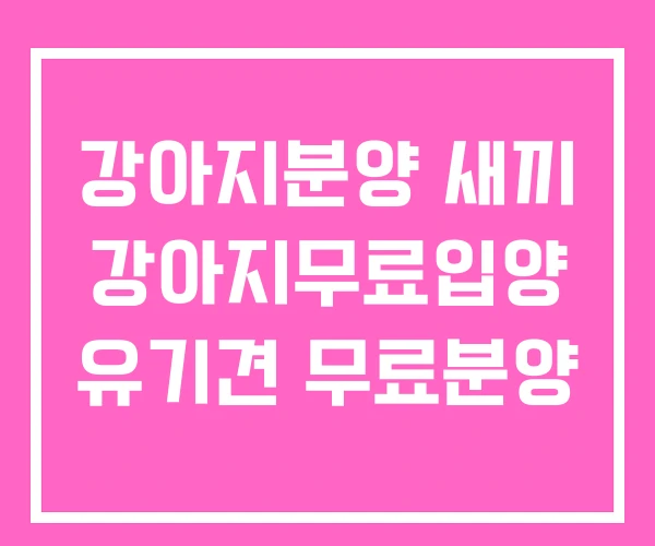 강아지분양 새끼 강아지무료입양 유기견 무료분양