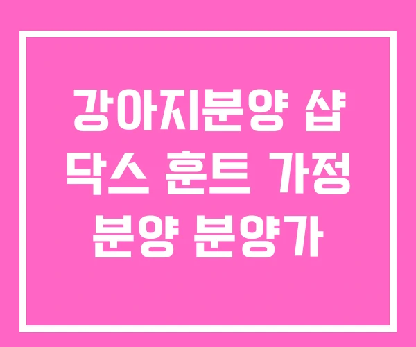 강아지분양 샵 닥스 훈트 가정 분양 분양가