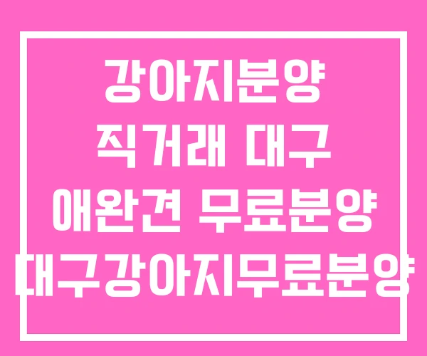 강아지분양 직거래 대구 애완견 무료분양 대구강아지무료분양