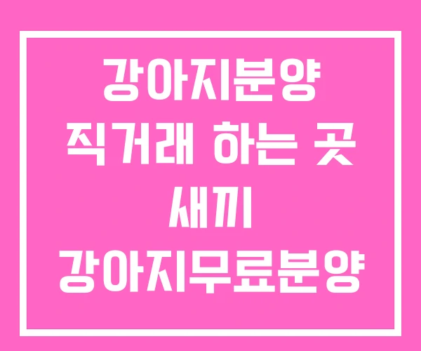 강아지분양 직거래 하는 곳 새끼 강아지무료분양