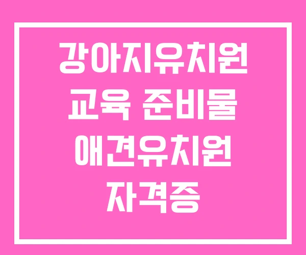 강아지유치원 교육 준비물 애견유치원 자격증 강아지유치원 교육 준비물 애견유치원 자격증