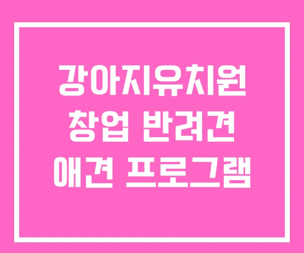 강아지유치원 창업 반려견 애견 프로그램 강아지유치원 창업 반려견 애견 프로그램