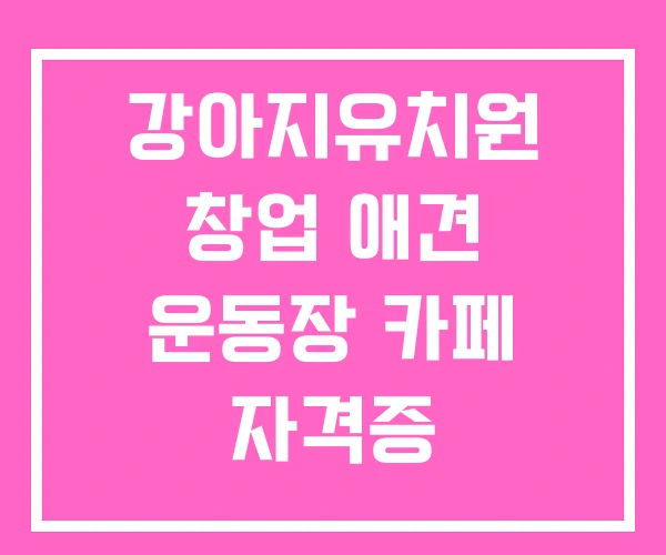 강아지유치원 창업 애견 운동장 카페 자격증 강아지유치원 창업 애견 운동장 카페 자격증