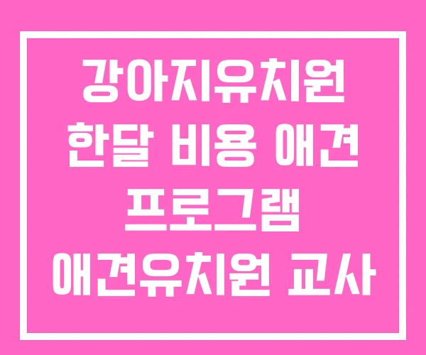 강아지유치원 한달 비용 애견 프로그램 애견유치원 교사 강아지유치원 한달 비용 애견 프로그램 애견유치원 교사