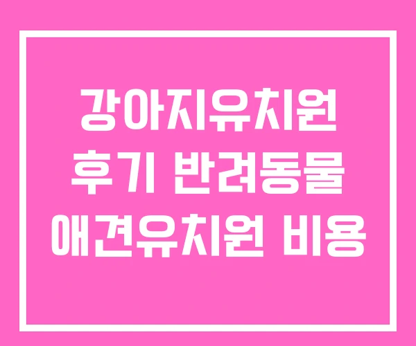 강아지유치원 후기 반려동물 애견유치원 비용 강아지유치원 후기 반려동물 애견유치원 비용