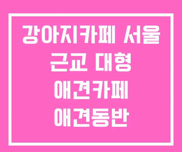 강아지카페 서울 근교 대형 애견카페 애견동반
